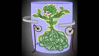 Daisy Backster humanoid plant girl in the Glass experiment old test 001