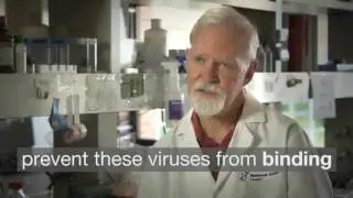 How Our Molecules Interact with Viruses In The Lungs To Prevent Flu