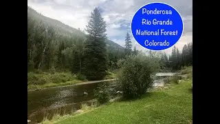 Ponderosa-Rio Grande National Forest-Colorado