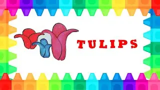 FUN DRAWING  - TULIP  SIMPLE DRAWING AND COLORING FOR KIDS