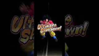 Advanced coop with ssj4 goku !!! (DBL)