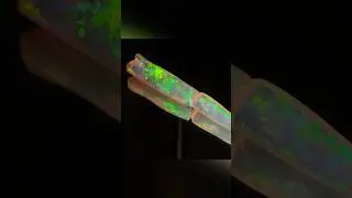 Mining and cutting a $30&rsquo;000 opalised belemnite. #australianopal #opal #opalmining #opalcutter