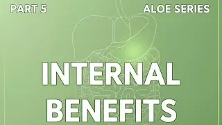 Aloe Vera Gel Internal Benefits | Immunity, Liver Detox & Digestion Support | Aloe Vera Gel Ke Fayde