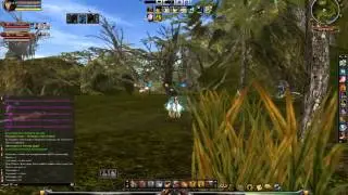 Shaiya Dreams