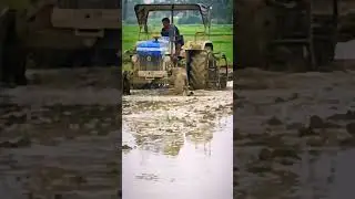 #kharif #farmer #paddy #farming #paddycultivation #powertrac #agriculture #paddyharvest #agriclasses