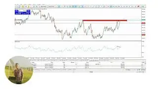 THIS IS HOW TO TRADE CASH300