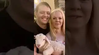 AI became so realistic nowadays&hellip; #couple #love #family #lamb #pets #ai #smile #lovely #animals