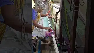 arani hand loom korvai saree