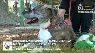 TROFARELLO CREATIVE FOOTPRINT ASSOCIATION (19) Episode 1539