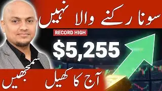 Gold Is Exploding! $5,255 Record Price &mdash; Not Even a Dip Can Stop It | Dr. Gold & Silver |