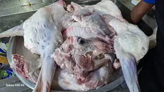 🇰🇼Arabic Traditional food recipe l please subscribe #live #shortsfeed #verticallivefeed #arabicfood