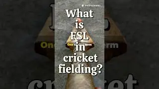 What is FSL in cricket fielding? #quiz #cricket #cricketshorts #cricketrules #indiancricket