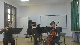 Mid-assessment 1 - Piano Trio flute and cello