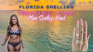 Florida Shelling the Treasure Coast 🏴&zwj;☠️ LIVE STREAM #FloridaShelling