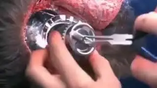 Termin&aacute;tor zen&eacute;s vide&oacute; (1,2,3,5,6)