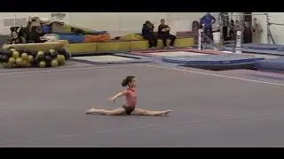 Hayley's 3rd Level 3 Gymnastics Meet | elleoNyaH
