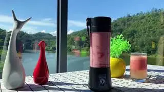 Přenosn&yacute; USB Smoothie mix&eacute;r 380 ml