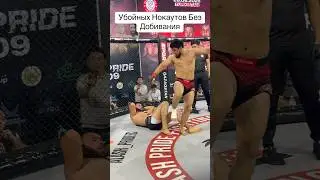 Горилла из Узбекистана 😱 #mma #видеостудия #бокс #съемкифильма #мма #фотографалматы #ufc #бои