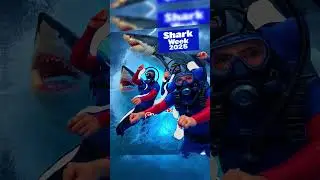 SHARK WEEK 2025: Dancing Sharks, Epic Attacks, Underwater Mayhem!😮#greatwhite #megalodon #marinelife