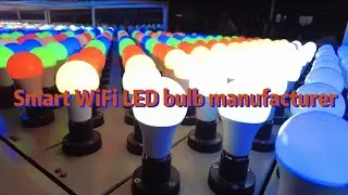 Smart LED bulbs | ADAYO Lighting | Smart WiFi LED bulb manufacturer