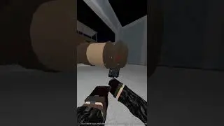 Admin he's doing it sideways!!! (Phantom Forces)