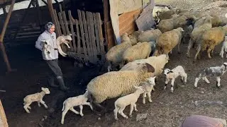 KAR YAĞMADAN ÖNCE KÖYDE HAYAT..