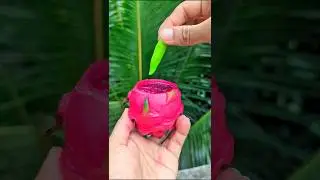 Dragonfruit Green Chilli Masala 🤤 | #shorts​ #food​ #fruit​ #masala​
