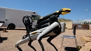 Meet Spot, Phoenix PD's Newest Recruit