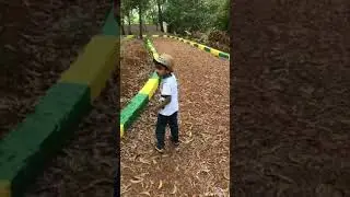 Visit to Salumarada Thimakka Tree Park - Manipal