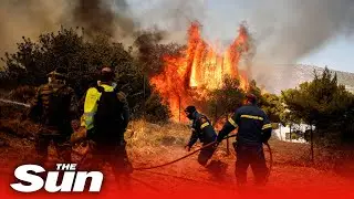 Greek firefighters battle growing forest blaze near Athens