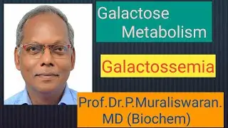 Galactose metabolism #Muralis Simplified Biochemistry