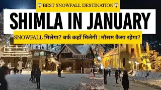 Shimla in January | snowfall in shimla | weather | Shimla snowfall 2023 | Kufri