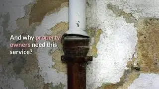 Who Should You Hire For Flood Damage Restoration Melbourne?