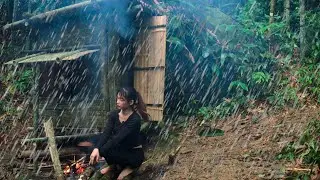 Build a life in the wild forest, girl bushcraft alone - survival cooking, rain camping
