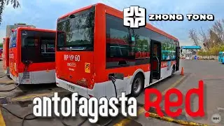 Zhong Tong el Bus Red del Transantiago que circulará por Antofagasta