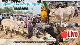 Live streaming of KUNDADAM MATTU SANTHAI| காங்கேயம் காளை-KANGAYAM BREED|03-01-2026