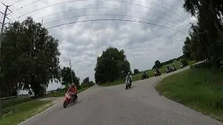 The 