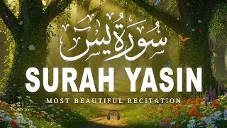 Surah Yaseen سورة يس | Relaxing Lofiquan for Peaceful Sleep & Inner Calm | Quran for Sleep