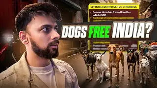 Mohalle K Dogs Ko le Gaye 😞 