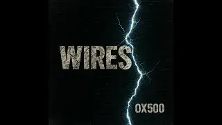 OX500 &mdash; WIRES / VEINS