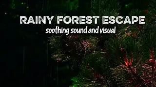 Rainy Forest Escape 🌧️🌲 | Relaxing Forest Rain Sounds for Sleep & Stress Relief