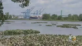 Late-Night Music Disturbing Waterfront Communities Along Delaware River