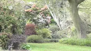 Explore the Gardens of Stoneywell
