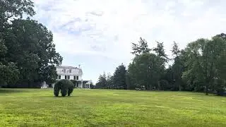 Green Animal Topiary Garden - Temmuz 2023