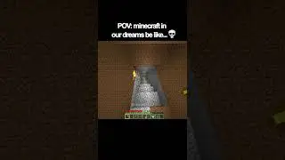 POV: minecraft in our dreams be like...