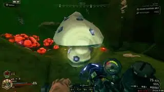 [DRG] very rare mushroom