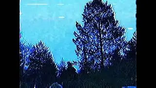Vhs tape 4