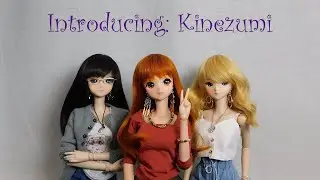 Introducing: Kinezumi, (Smart Doll Felicity, unboxing)