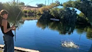 Another Great Day Of Fishing | #viralvideo #viral #fishingarizona #azfishing 