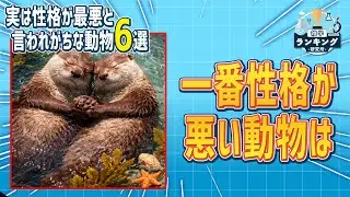 可愛い・賢いイメージとは違う、動物たちの意外でシビアな行動を具体例で紹介する